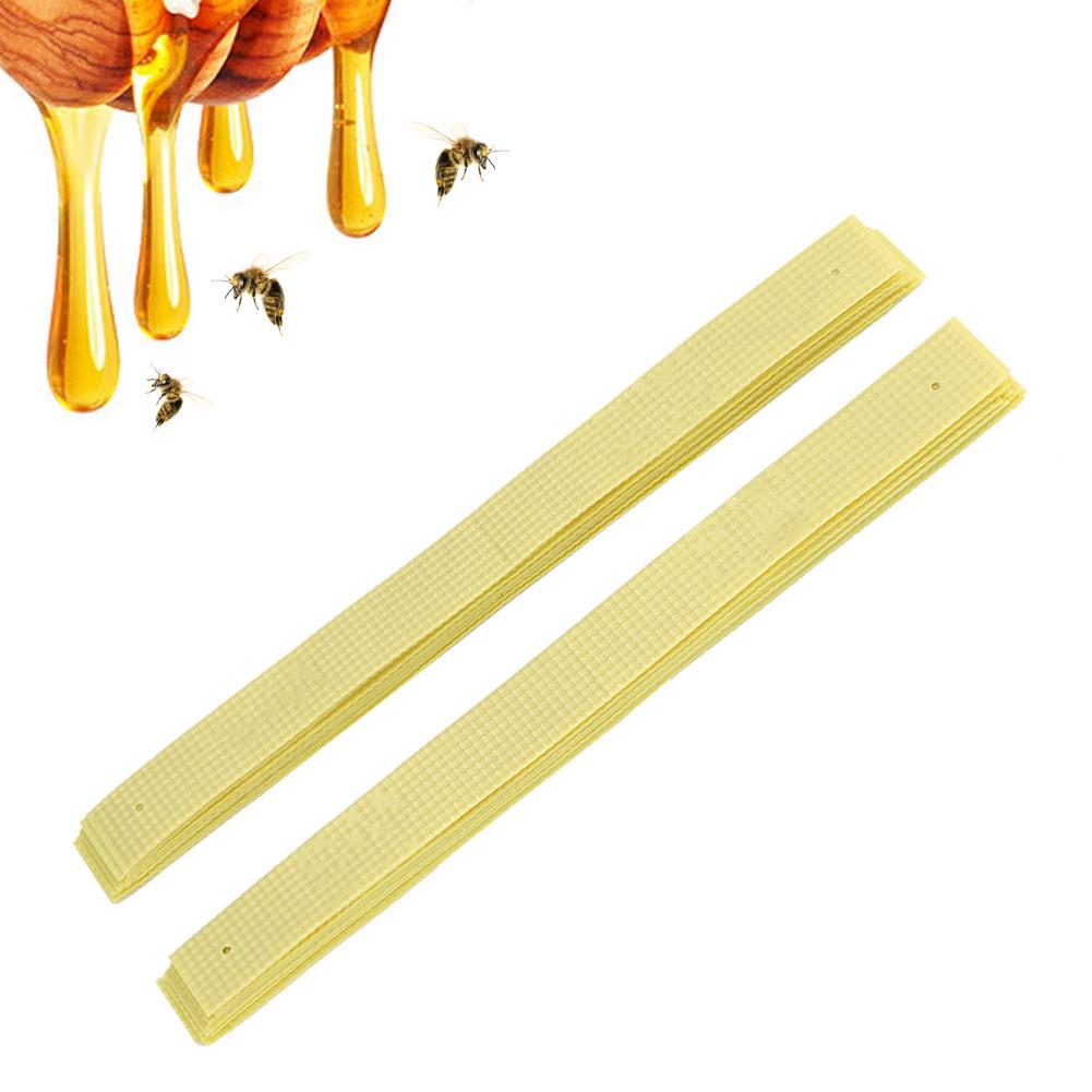 20x Varroa Mite Strips For Beekeeping - Fluvalinate Treatment | Effective Bee Colony Mite Control, High-Quality Material