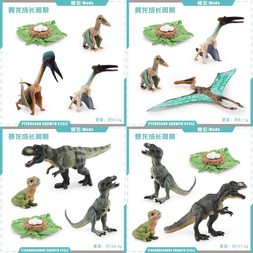 Realistic Jurassic Dinosaur Growth Cycle Model For Educational And Decorative Purposes