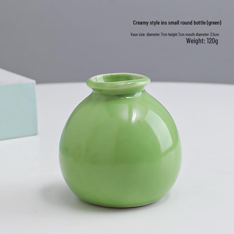 Small Ceramic Desktop Hydroponic Vase for Pothos - Simple Decorative Ornament for Office