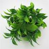 Reticulata Plastic Citrus Blanco Leaf For Garden Landscape Design Decor Indoor