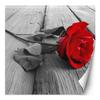 Wallpaper Red rose flowers wooden walkway