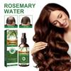 Rosemary Dense Hair Spray Moisturizes Hair Root Repair Damaged Hair Tough Hair Anti-Dense Hair Solution