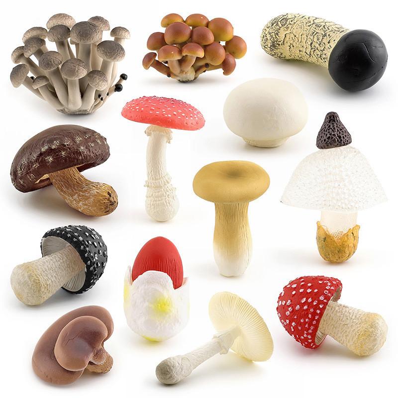Realistic Mushroom Set Featuring Edible Shiitake Enoki Matsutake Poisonous Umbrella Decorative Models Ideal For Home Display