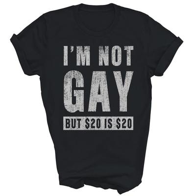 Nie som gay, ale 20 dolárov je 20 dolárov Vtipné unisexové tričko pre dospelých Darček