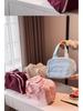Korean Large Capacity Portable Makeup & Toiletry Bag with Partitioned Storage