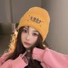 Women's Winter Warm Big Head Knitted Hat Korean Style Fashionable and Versatile Student Windproof Ear Protection Wool Hat