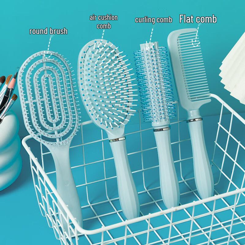 Sinle 4-Piece Hair Brush Set for Women