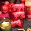 STENDERS Royal Cranberry Scented Soap