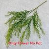 Artificial Arundinacea Phalaris Floral Decor For Living Room And Prop Photo