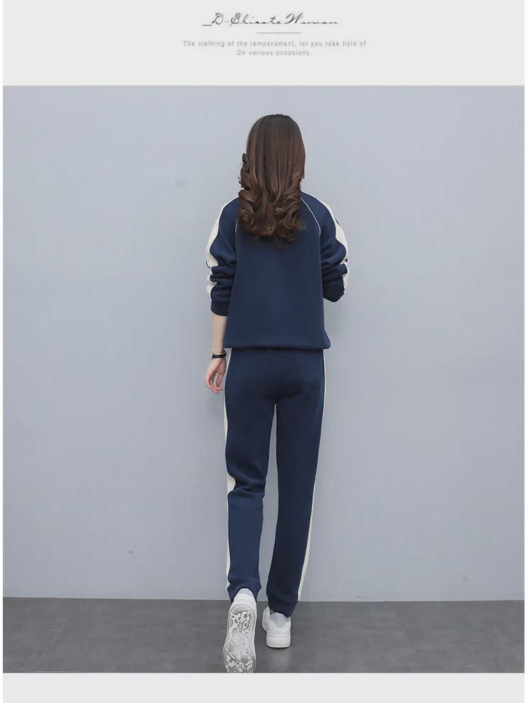 Costume sport pentru femei, europene și americane - Toamnă/Iarnă, Croială lejeră, Mărimi mari, Costume de alergare și de echipă la modă