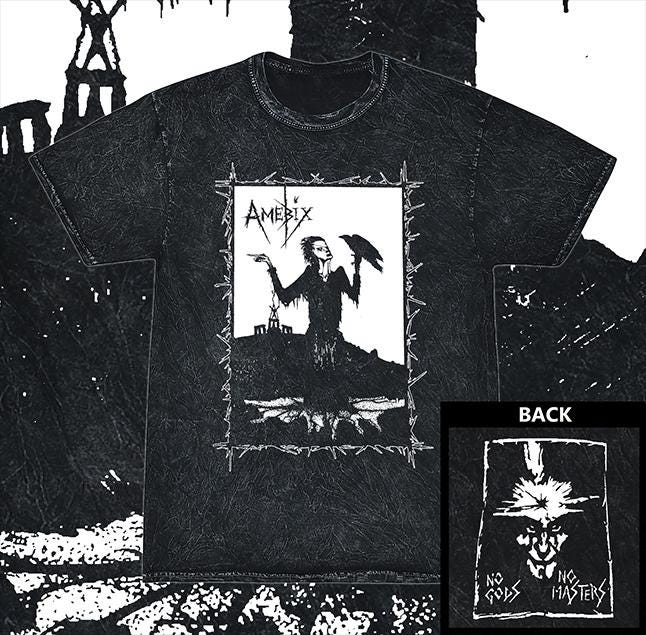 Amebix - Duel Sided Acid Wash Scarecrow Tee