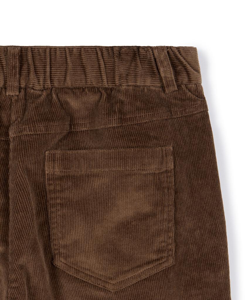 Pantalons en velours côtelé USPOLOASSN_Marron