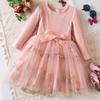 Girls Fashion Cute Long Sleeve Flower Embroidery Mesh Princess Dress Dresses