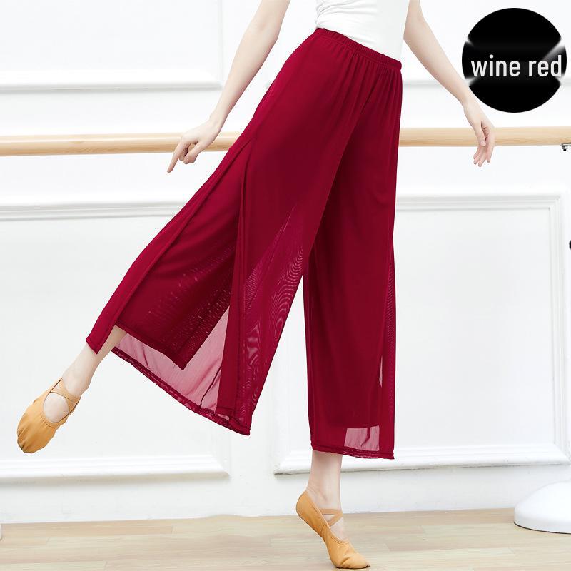 Women's Modern Ethnic Jazz Mesh Wide-Leg Dance Pants with Flowy Slits
