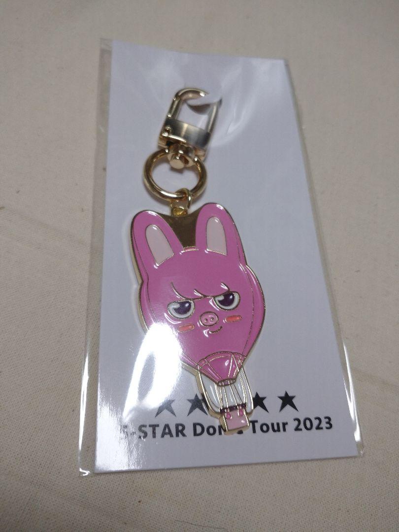 

[USED] Changbin skzoo Straykids 5STAR Keychain Skiz