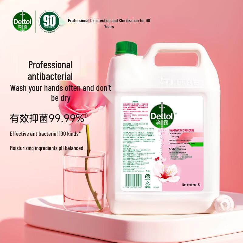 Dettol Family Disinfecting Hand Wash Refill 5L