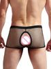 See Through Men Underpants Sexy Boxer Sheer Breathable Trunks