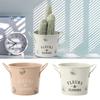 Decorative Iron Planter Pot Handicraft Flower Bucket Ornament Round Flower Pot  Desktop