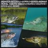 HUACHENG Major Craft Lure Metal Jig Jigpara Micro Yura Smart Fit 3-Piece Set swims realistically resembles real fish suitable various species such as