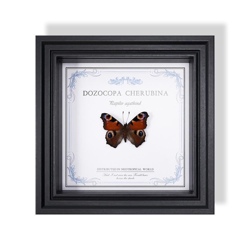 Wall-Mounted Butterfly Specimen Photo Frame: Home Decor & Gift for Valentine's Day, Qixi, Birthday, Couples & Insect Lovers