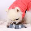 1PC Stainless Steel Pet Supplies Bowl Cat Bowl Dog Food Multi-Specification Anti-fall Food Feeding