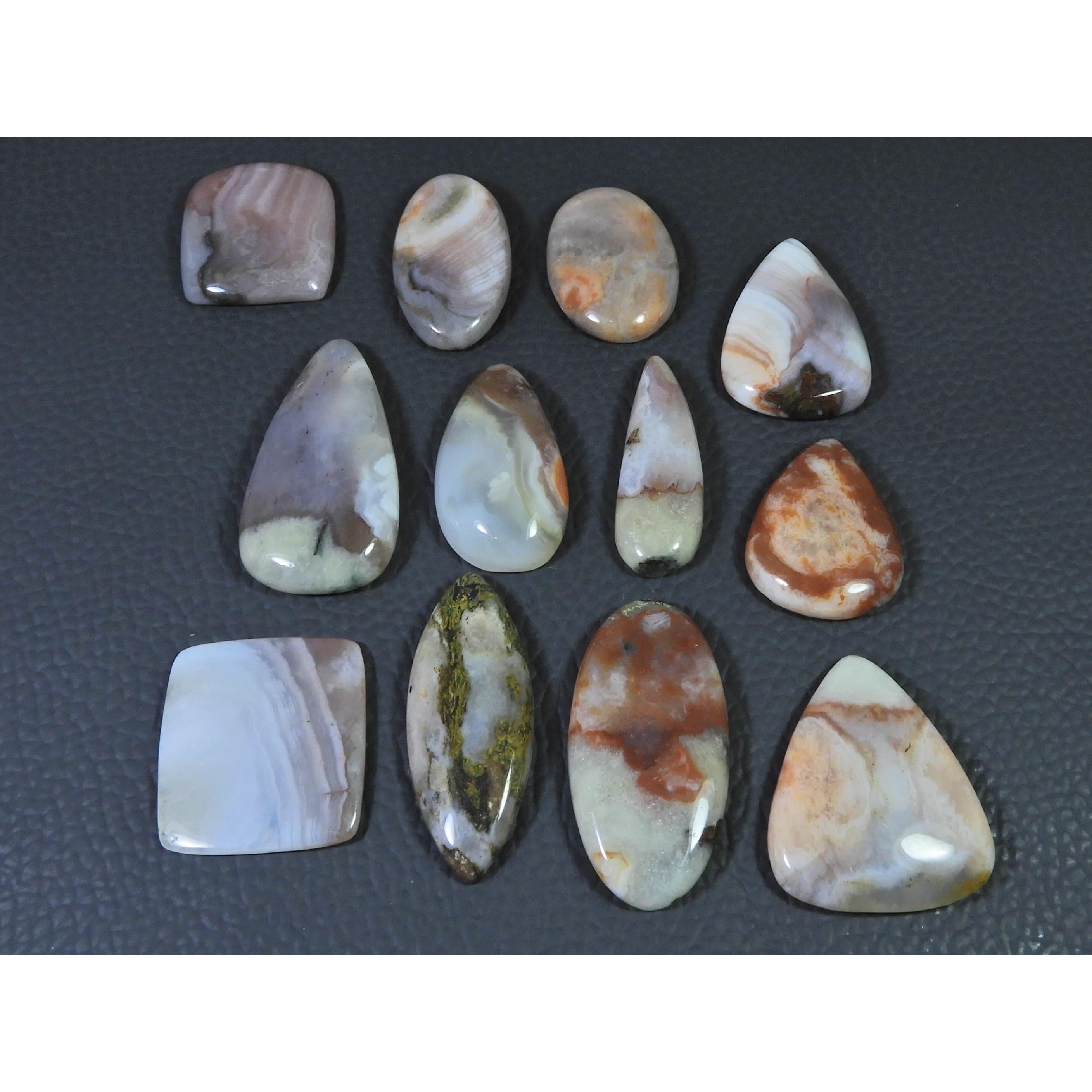 237Cts. Natural Crazy Lace Agate Mix Cabochon Loose Gemstone 12 Pcs Lot C-1556