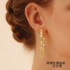 Gold Front and Rear Wearing Double Chain Fringed Earrings Personalized Light Luxury Metal Style Design Sense Fashionable and Simple