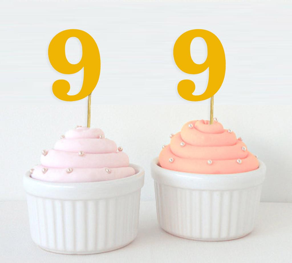 Darling Souvenir| Number 9 Birthday Year Cupcake Toppers| Birthday  Anniversary Party Dessert Decorations - Pack Of