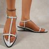 Fashion Women's High Heels Sandals Pointing Toe Narrow Band Design Sandals Clip Toe 2025 Summer Roman Style Platform Beach Ladies Shoes