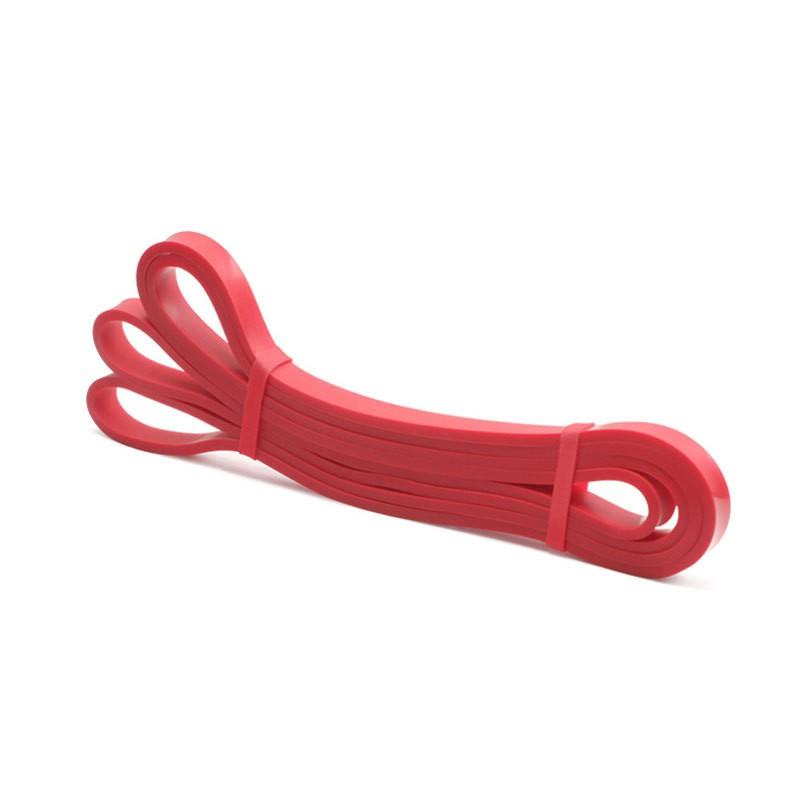 Resistance Bands Chest Workout Pull-Up Assist Home Fitness Training With Handles Door Anchor Carabiner