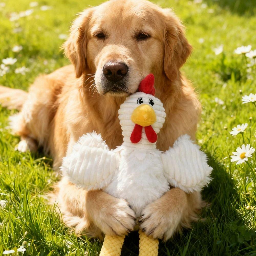 Cartoon Hahn Form Haustier Squeeze Sound Spielzeug Kaubeständig Hund Stofftier Hühnchen Spielzeug Mittelgroße Hunde