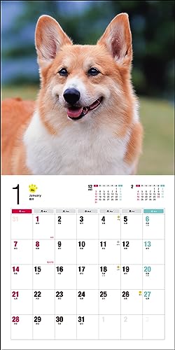 Calendar 2024 Corgi galez (Calendarul Seibundo Shinkosha)