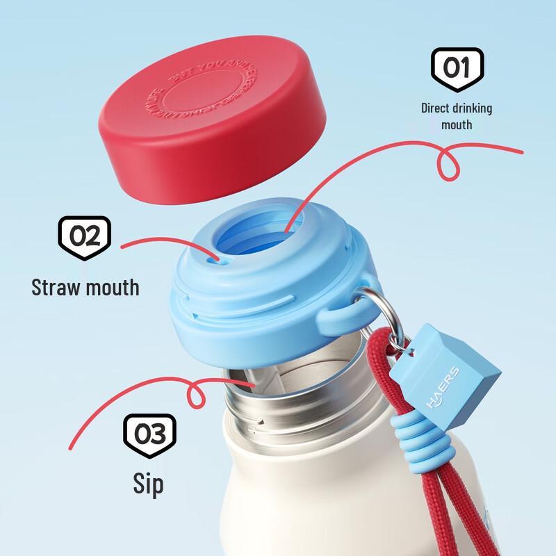 HAERS Insulated Straw Water Bottle