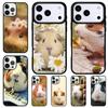 Love Guinea Pig Cute Phone Case for iPhone 17 Air 16 15 11 12 14 13 Pro Max Shockproof Cover