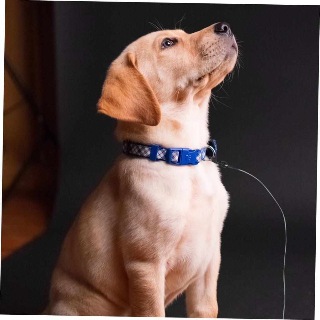 Sosoport Dog Leash with Steel Pet Walking Suitable for and Large Breeds Wire, Handle, Anti-Chew Rope, Dogs, Small, Medium,