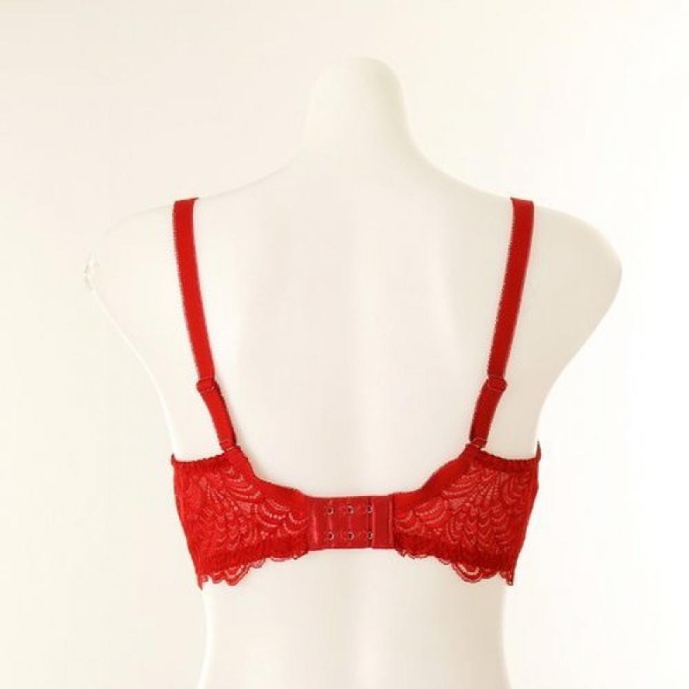 Wacoal Modern Full Cup Bra Wbr1968e