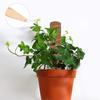 4Pcs 450mm Coir Totem Pole Moss Stick Fibre Plant Climbing Plant Support Totem Pole for Plant