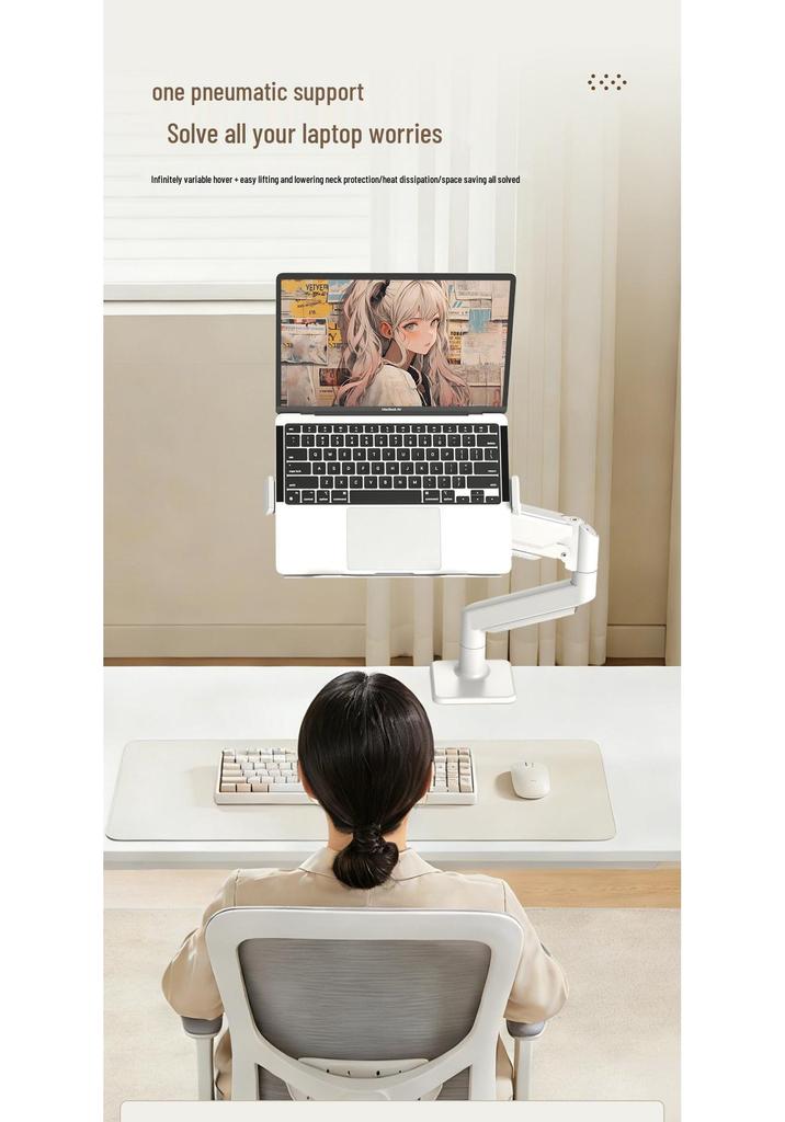 Ke Hao Multi-Functional Dual Screen Monitor Stand with Gas Spring, Single/Dual Arm, Universal Mount