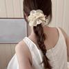 Luxurious Beige Lace Hair Scrunchie for Women - Exquisite Embroidered Minimalist Hair Tie with French Romantic Style, Soft and Breathable Fabric