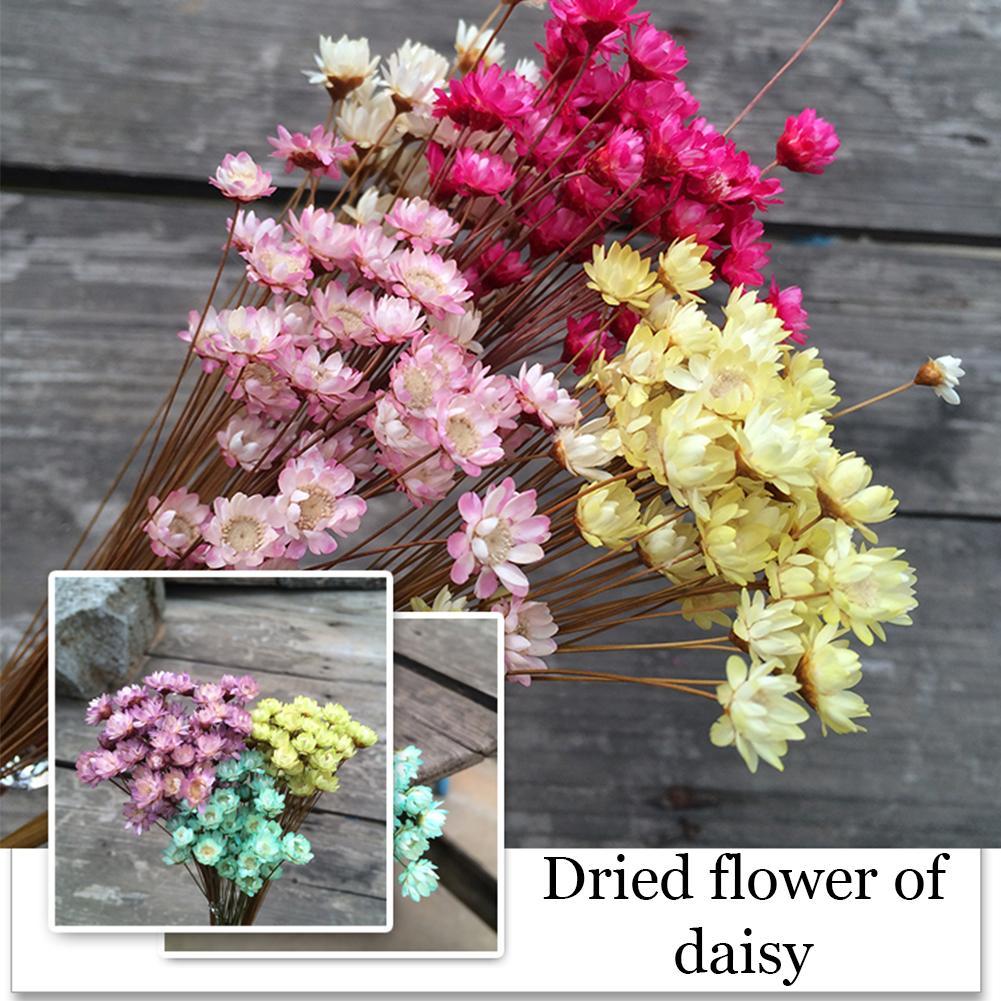 Dry Flower Wedding Party Essential Decorations For Home Home Décor Accents DIY-friendly Pressed Flowers For Party Floral