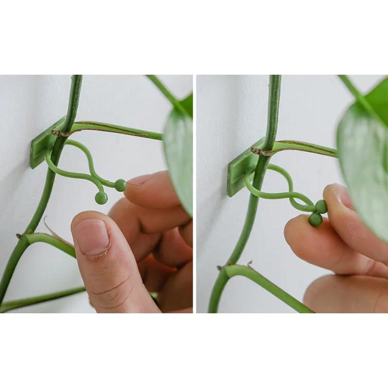 10pcs/set Plant and Green Plant Fixer, Green Basket Vine Climbing, Wall Hanging Style Household Universal Hook Plant Trellis