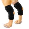 Pet Leg Joint Knee Protector ACL Ligament Tear Protection Rehabilitation Aid Cat Joint Dislocation Support