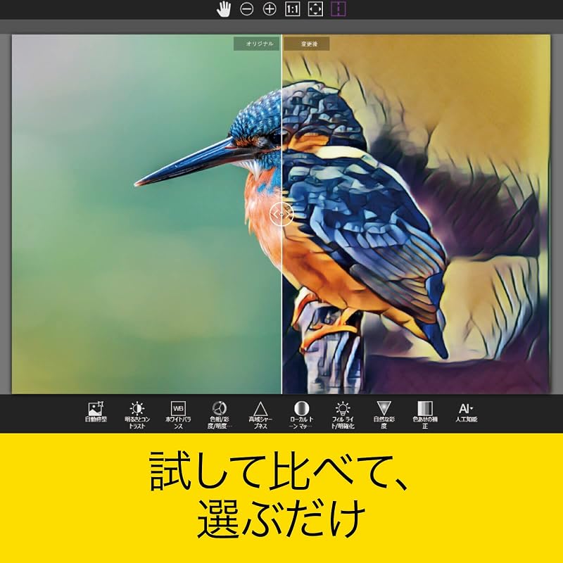 Sourcenext | PaintShop Pro 2023 (Latest Version) | Photo Editing Software | Windows Compatible