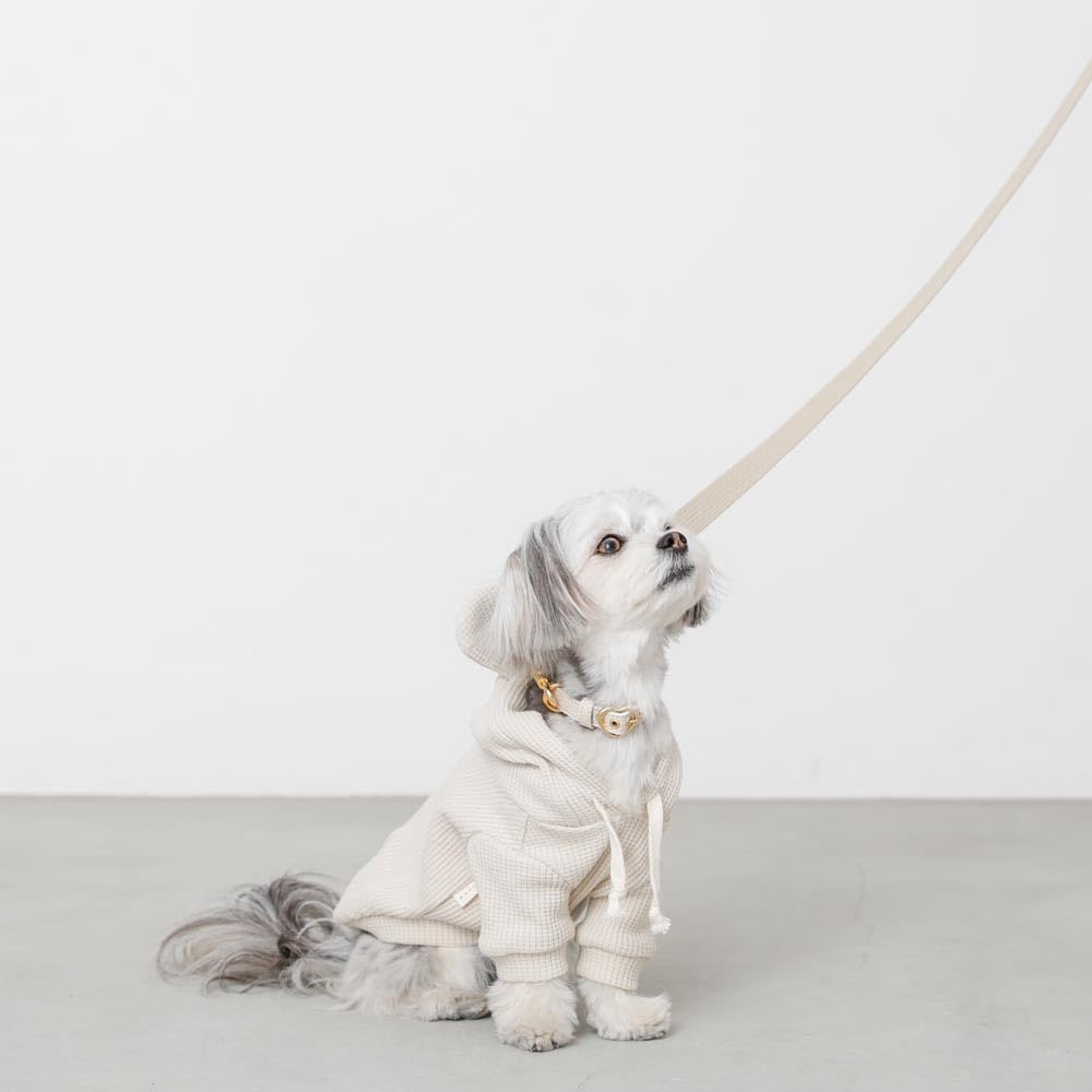 Kožený obojek pro malé psy s přezkou ve tvaru srdce z pravé hovězí kůže, nastavitelný, ideální na procházky a výlety monchéri [Zmenšený obojek] (S/Mocha)