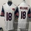 Chicago Bears NFL Style Embroidered Jersey Allen Williams 13 2 34 15 18 Men Women Unisex Cotton Blend Sports Fan Apparel