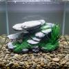 Turtle Basking Platform Resin Craft Turtle Sunning Dock Rock Hideout Cave Multi-Level Design Pet Habitat Decor