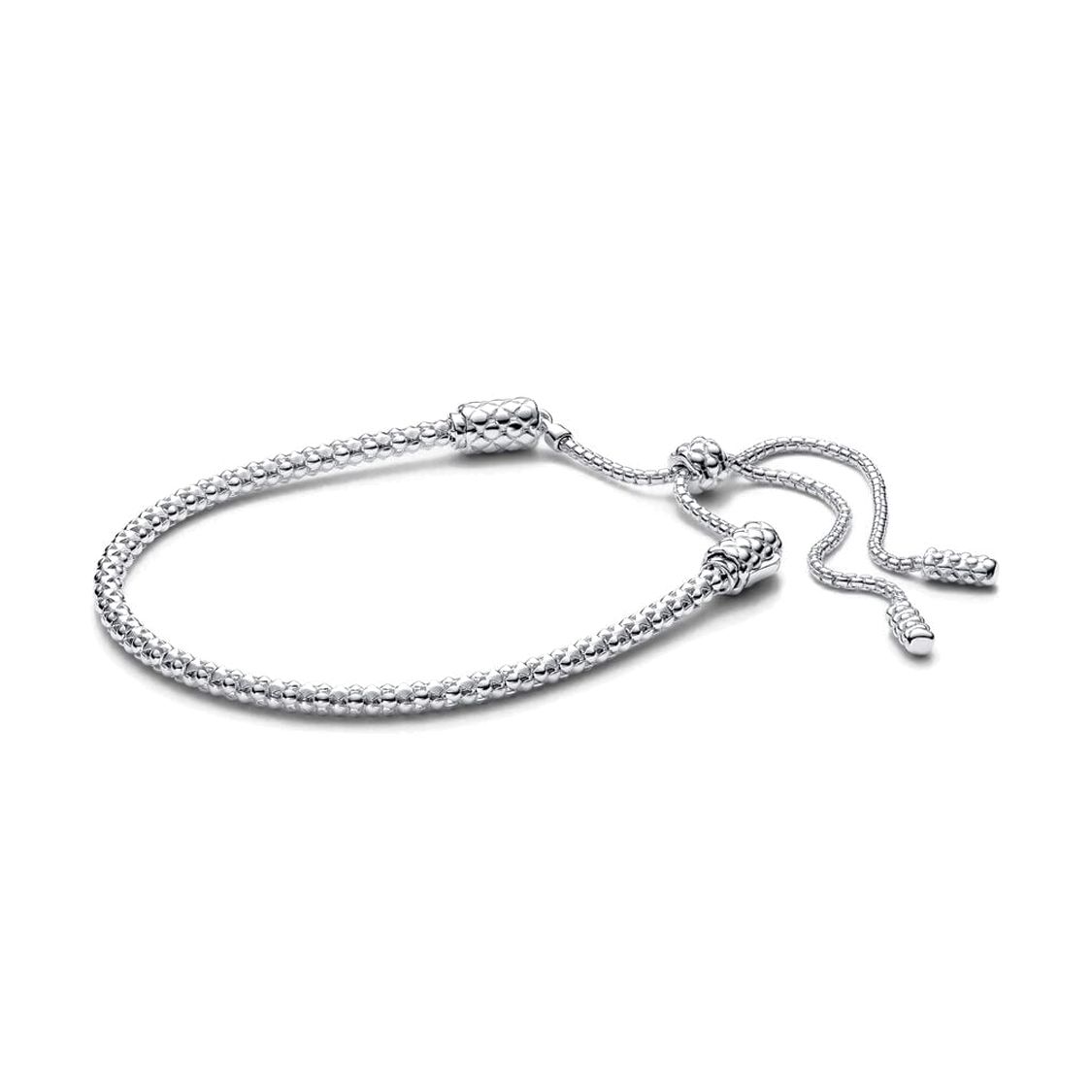 Pandora Moments Sliding Clasp Charm Bracelet Women bracelet Silver 593090C00-2 Box
