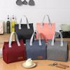 Double Handle Insulated Lunch Bag—Portable, Large Capacity for Students & Office Workers