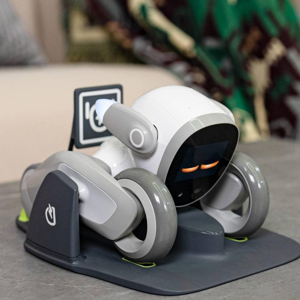 Loona EPP3.0 AI Smart Robot Dog, Powered by GPT-4, Voice Command & Gesture Recognition, Real-time Interaction for Kids with Charging Dock