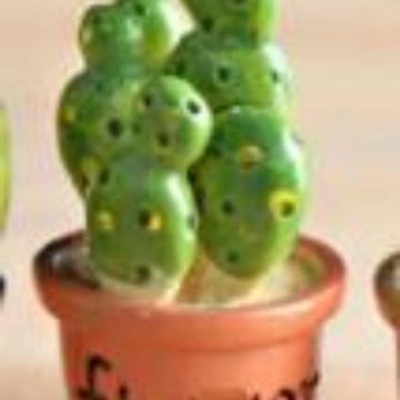Moss Micro-landscape Ecological Bottle Simulation Small Potted PlantCactus Decorative ItemDesktop Resin Small Item